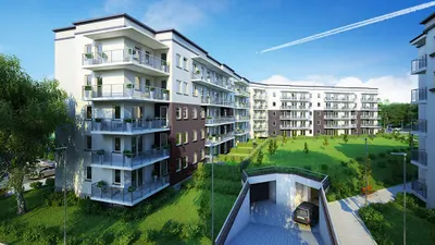 Wasilewski Developer